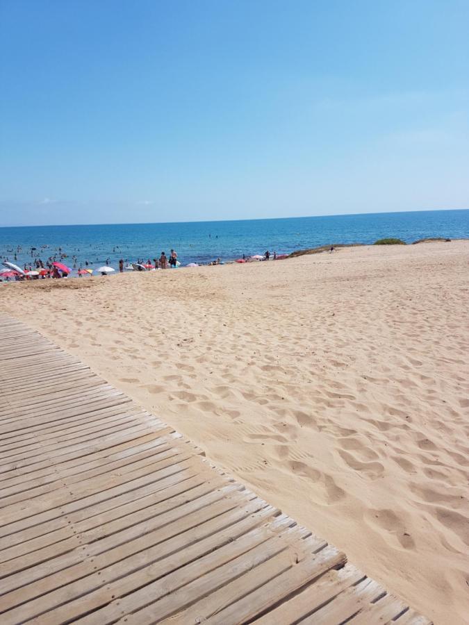 Sunny Apartament Near La Mata Beach Torrevieja Eksteriør bilde